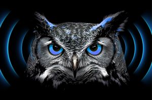 Stille Präzision für kompromisslose Prozesssicherheit | 24.03.2026